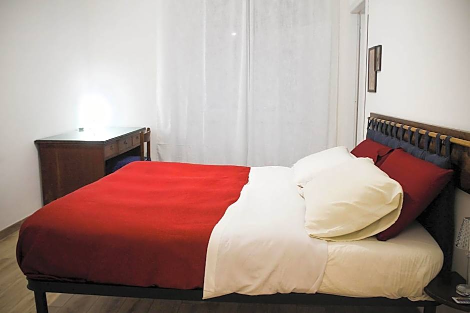 Daffodil in Roma San Pietro