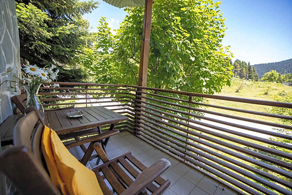 ΞΕΝΟΔΟΧΕΙΟ ΠΑΠΑΝΑΓΙΩΤΟΥ