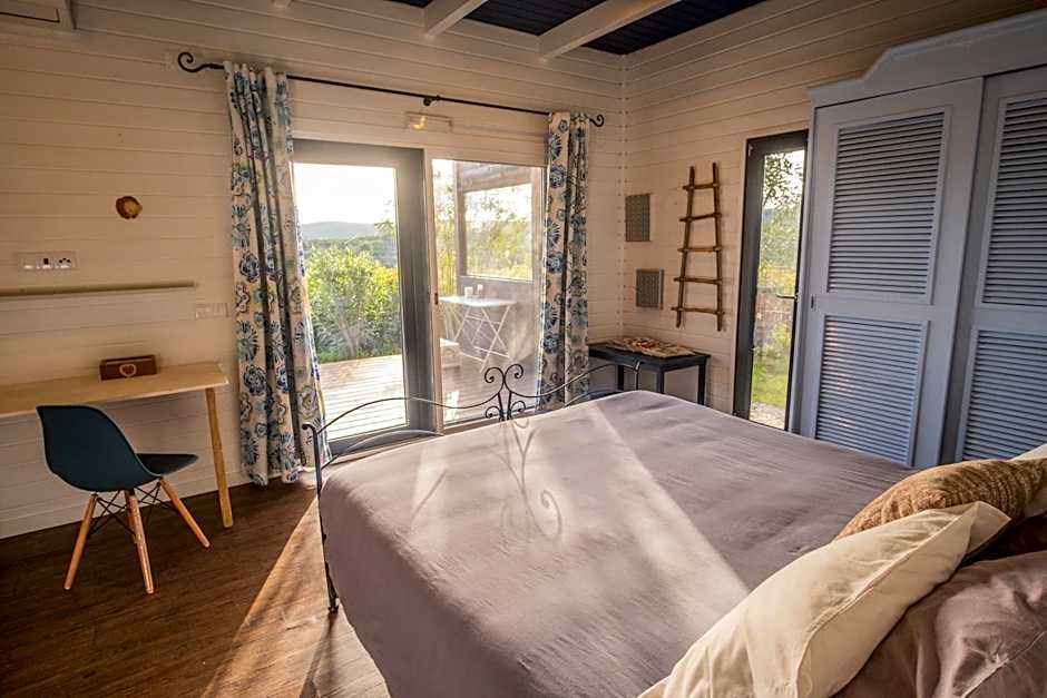 Gato Preto de Silves - Adults Only