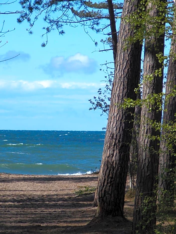 Pokoje goscinne Neptunia