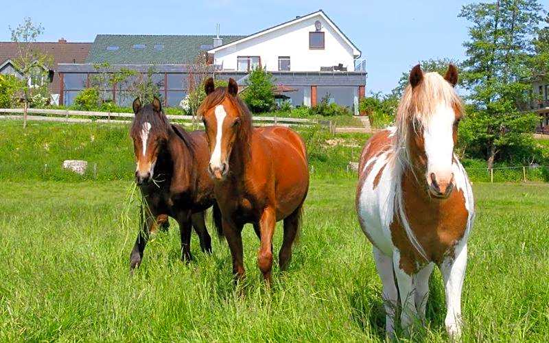 Landhaus Ostseeblick