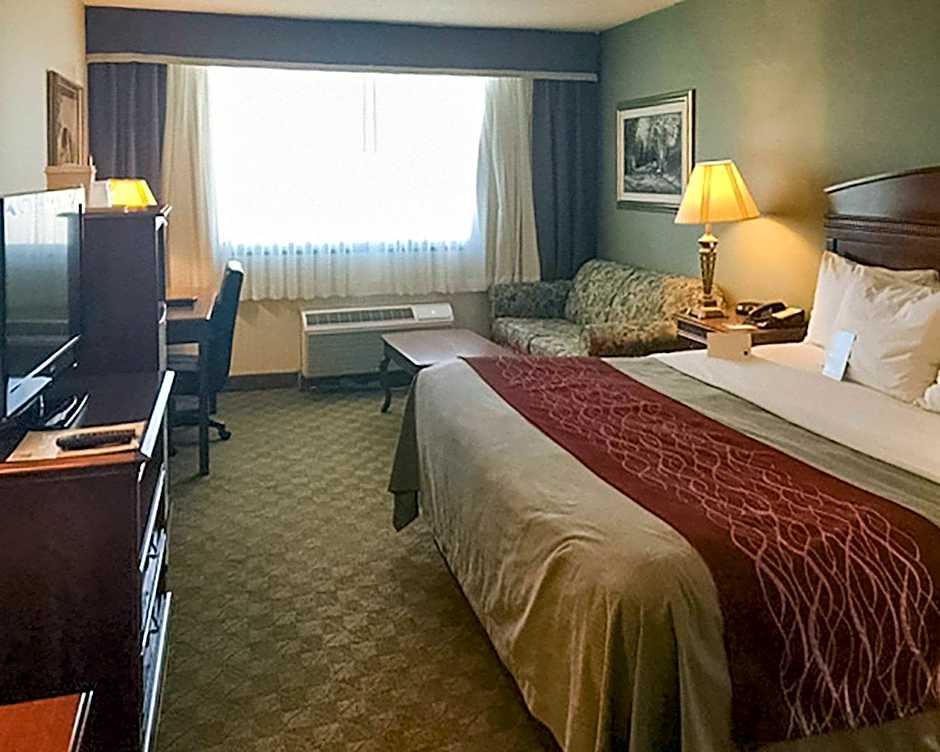 Comfort Inn Springfield