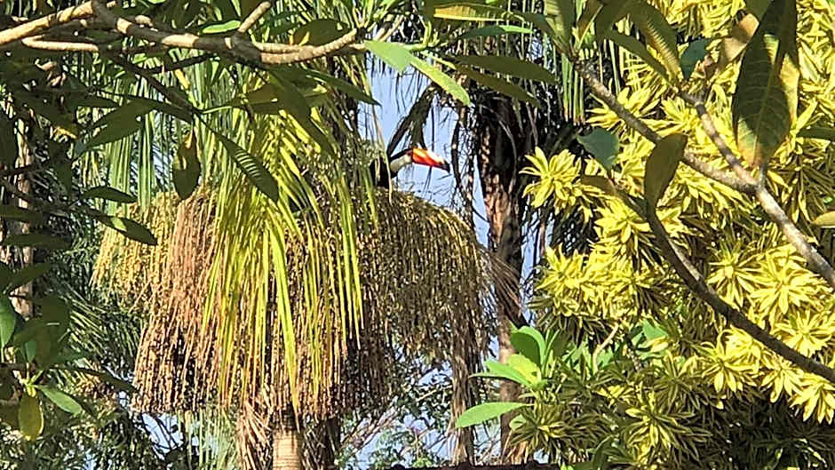 Pousada Rosa dos Ventos