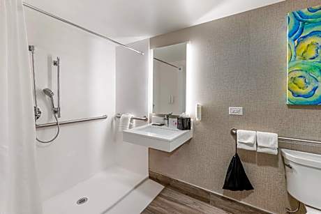 1 King Bed, Efficiency, Suite, Nonsmoking, Accessible