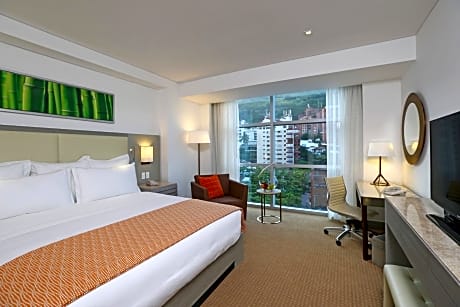 Concierge level, Guest room, 1 King Bed