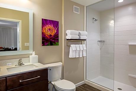 Deluxe King Studio with Sofa Bed
