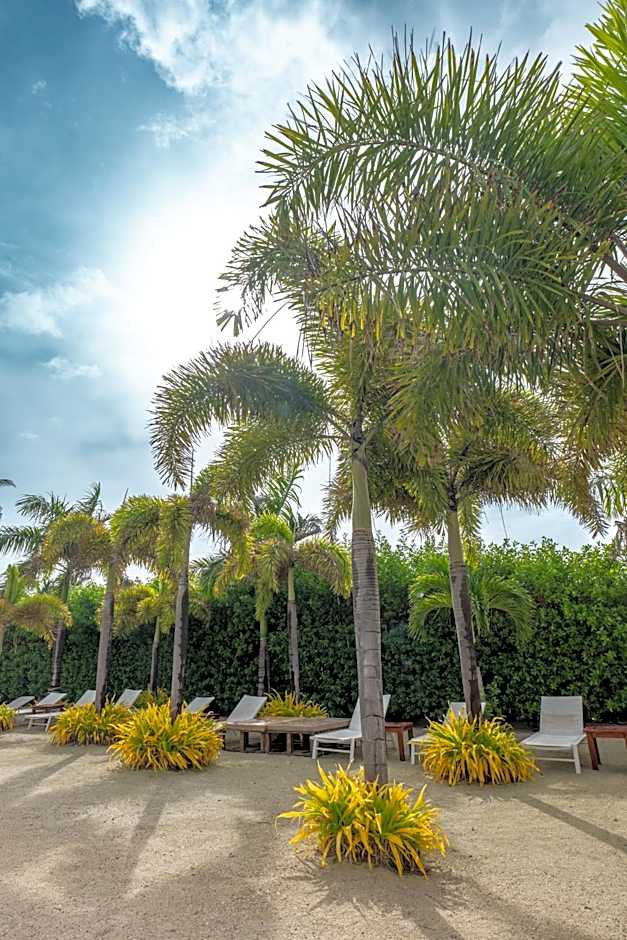 Hotel Arena Blanca by Dorado