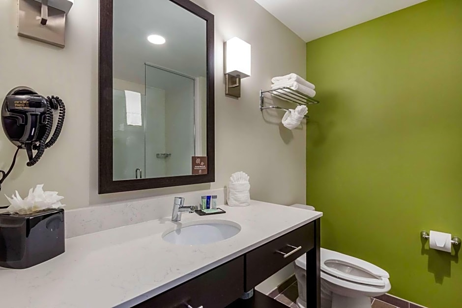 Sleep Inn & Suites Tampa South