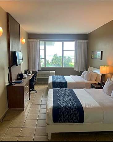 Double Room with Two Double Beds - Non Smoking