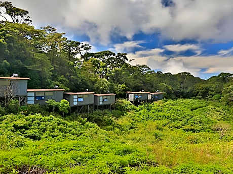 The Rainforest Ecolodge