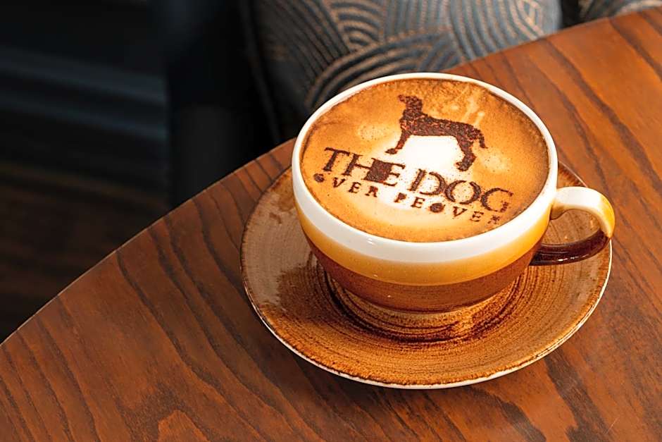 The Dog in Over Peover