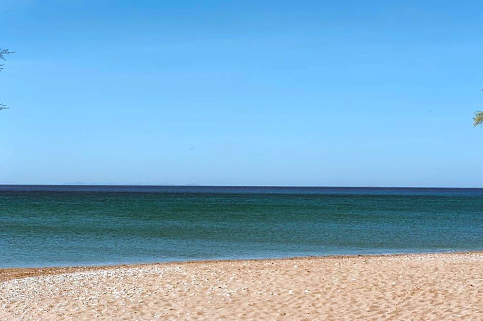 Aphrodite Samos Superior Studios and Apartments