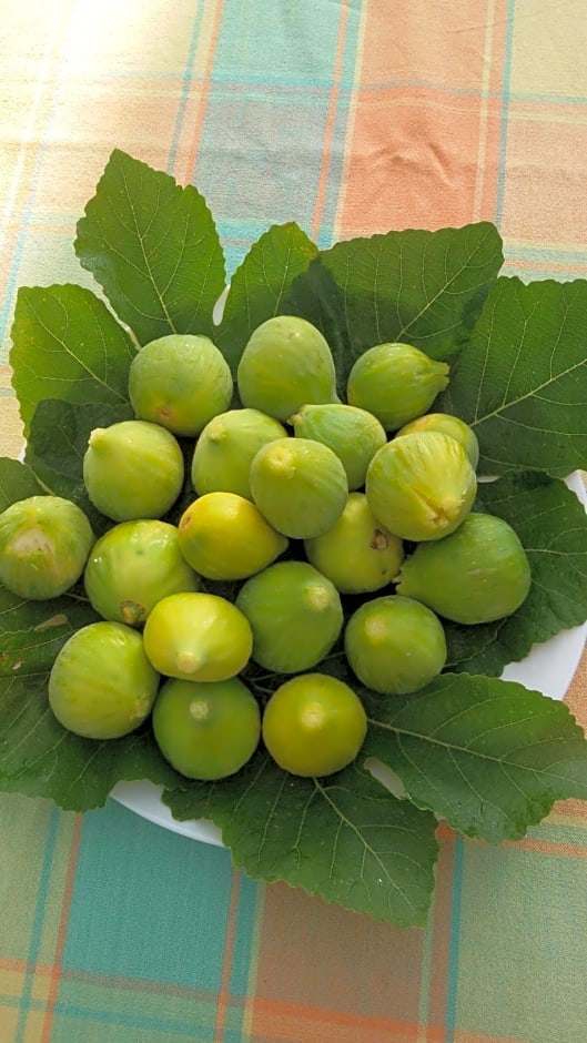 Blu Salentino b&b con Parcheggio Privato Gratuito