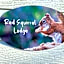 Red Squirrel Lodge