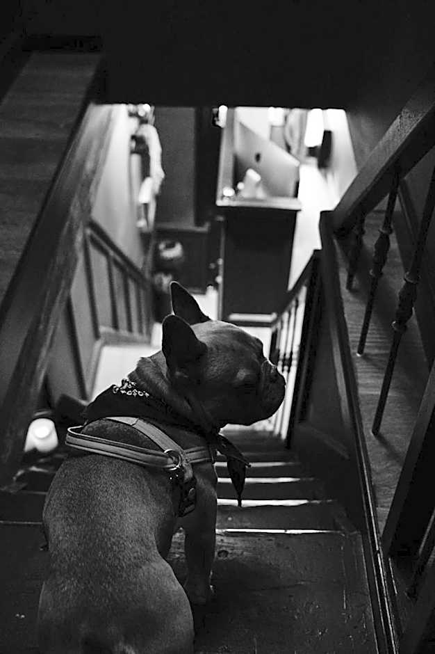 Boutique Hotel & Restaurant Frenchie