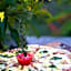 Distant Relatives Ecolodge & Backpackers