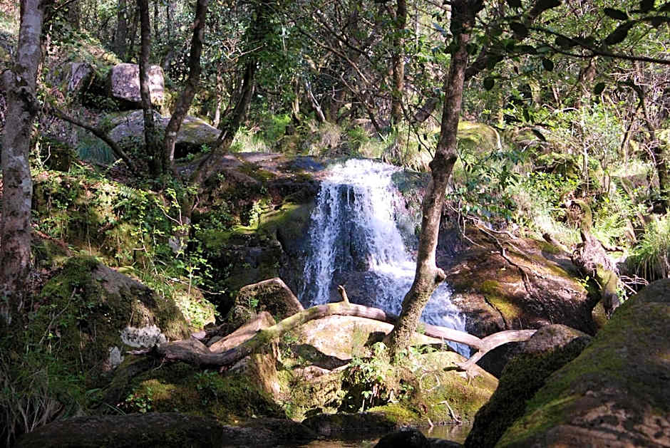 Hotel Carvalho Araujo