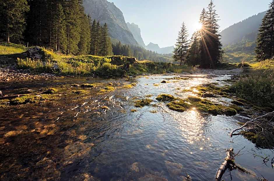 Hotel Gasthof Zum Schwanen