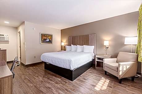 Single King Room - Non-Smoking