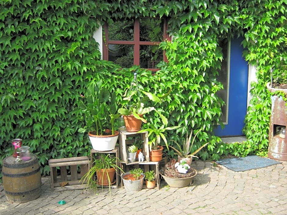 Stierstall-Suite Pension Wahlenau