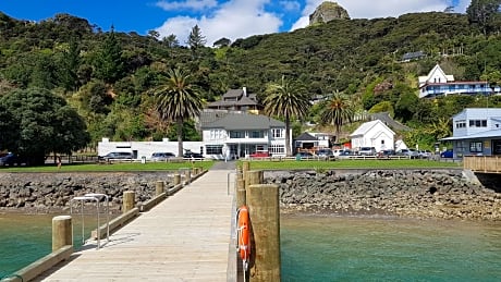 The Marlin of Whangaroa