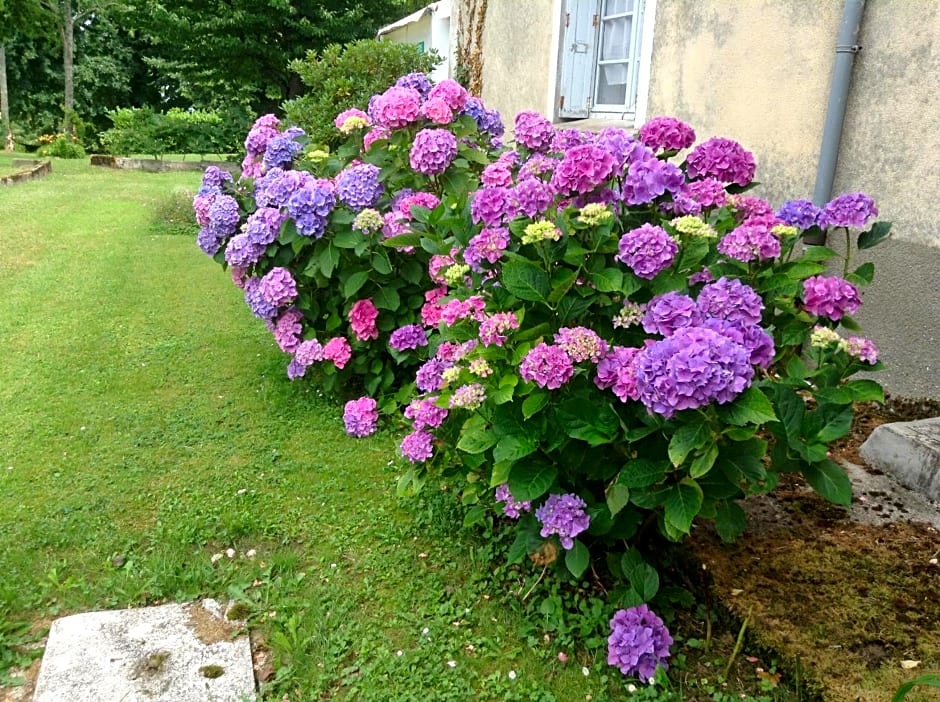 Chateau De Benac