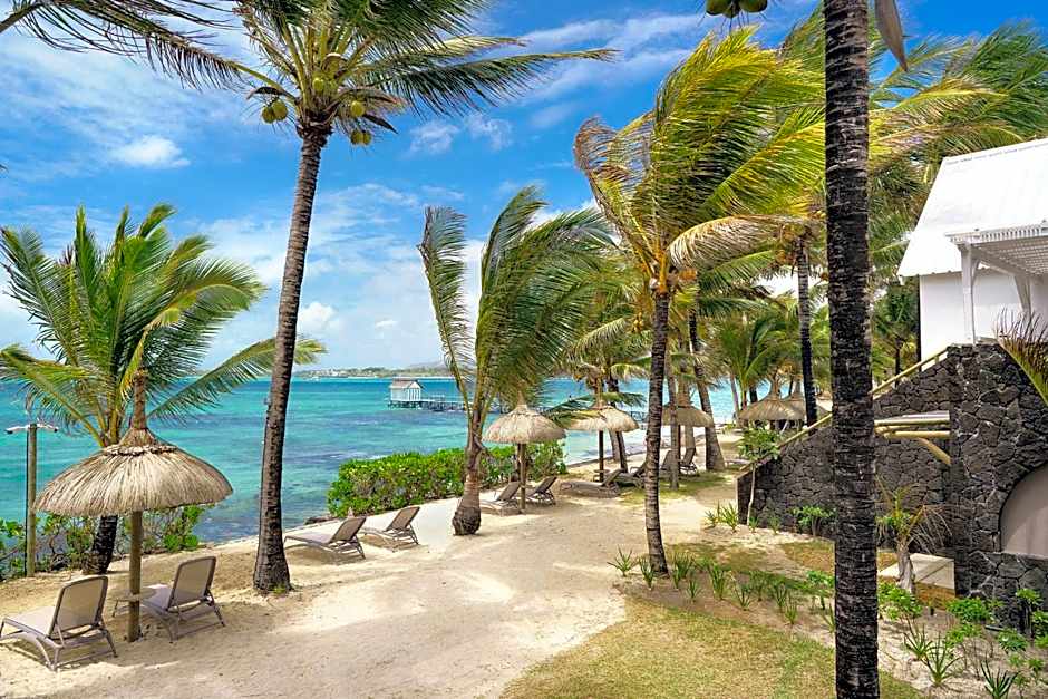 Tropical Attitude - Adults Only