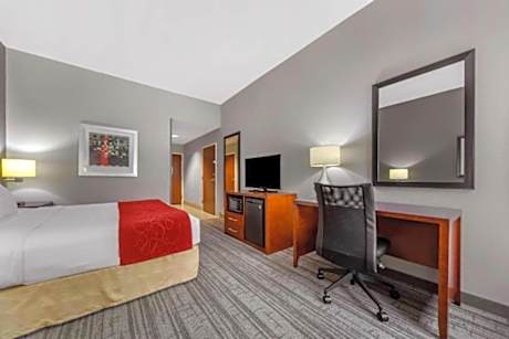 King Room - Non-Smoking