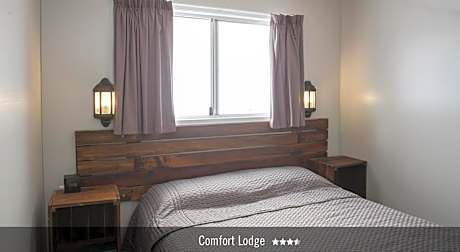 Standard One-Bedroom Queen Cabin