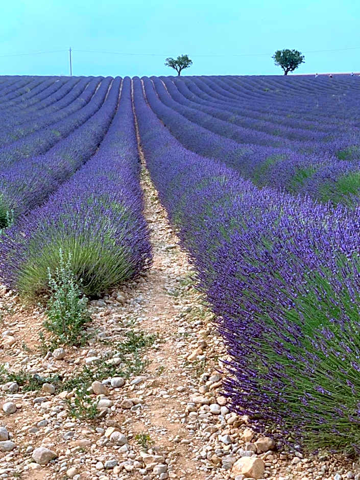 Studio Nuitée en Provence 2