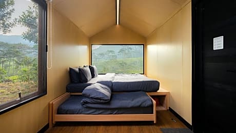 Executive King Room - Non-Smoking