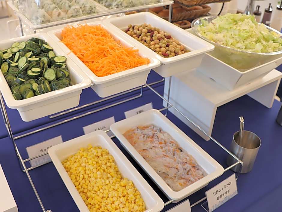 Toyoko Inn Fujisan Otsuki-eki