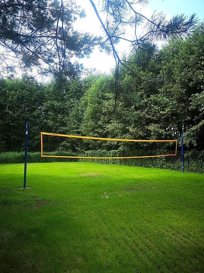 Domki Między Drzewami