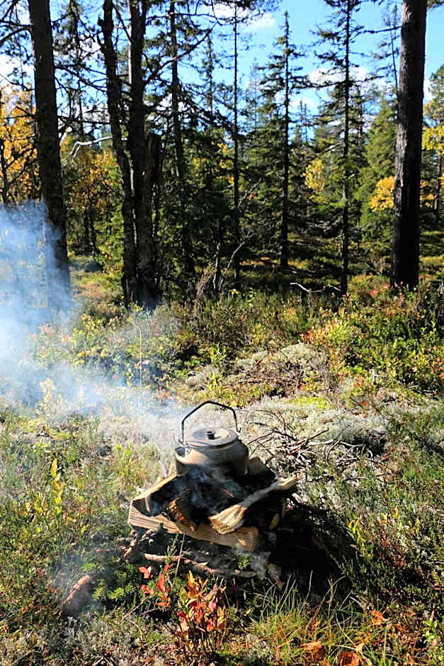 Åsengården Boende & Gästgiveri