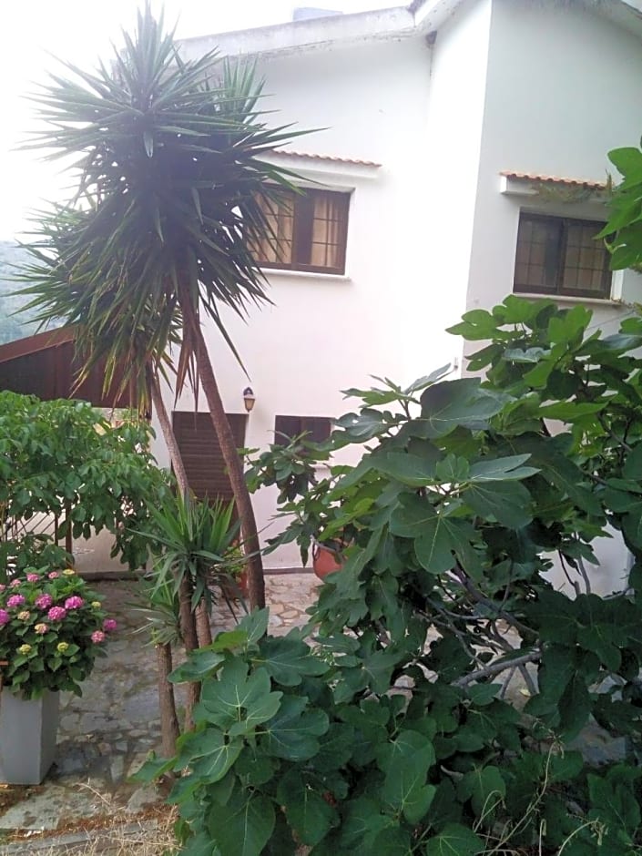 Kampi Double Storey House in the Village