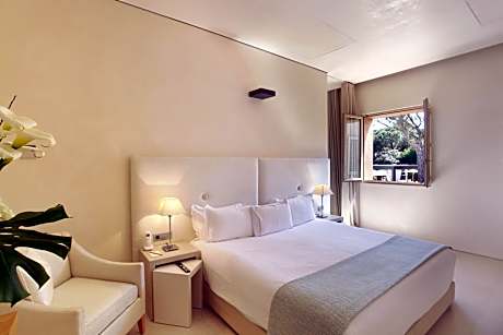 Luxury Suite