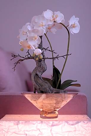 Suite (2 Adults + 1 Child)