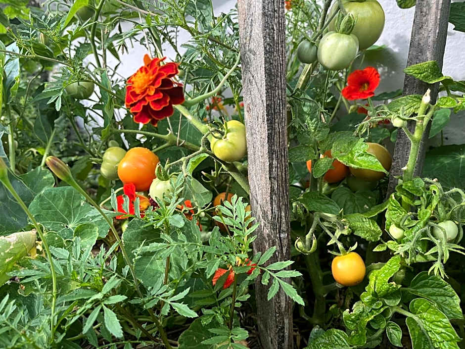 Hôtel Restaurant Eden