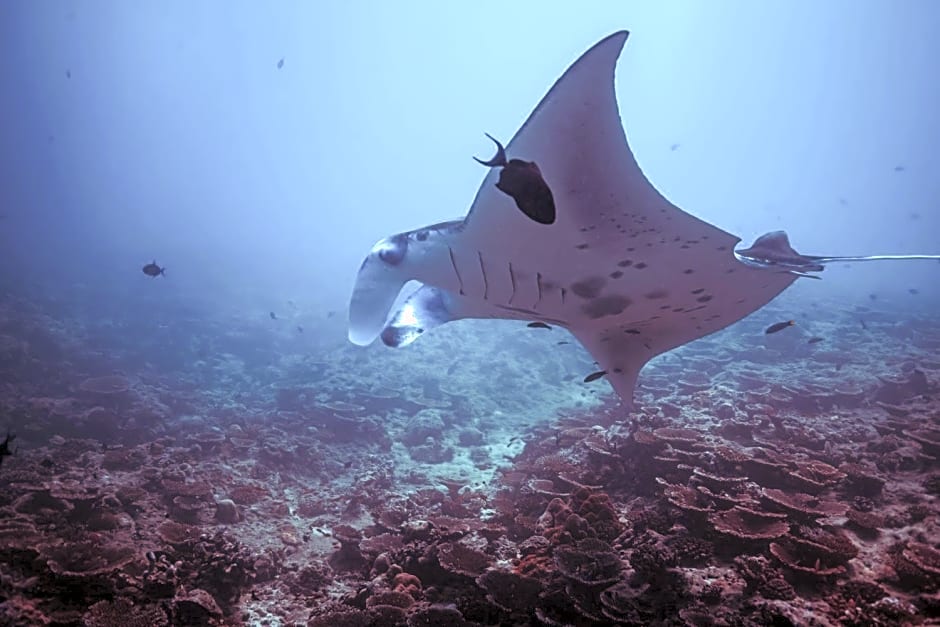 Endheri Sunset Dhangethi