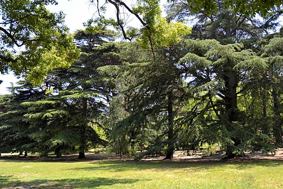 GLEM rooms & breakfast