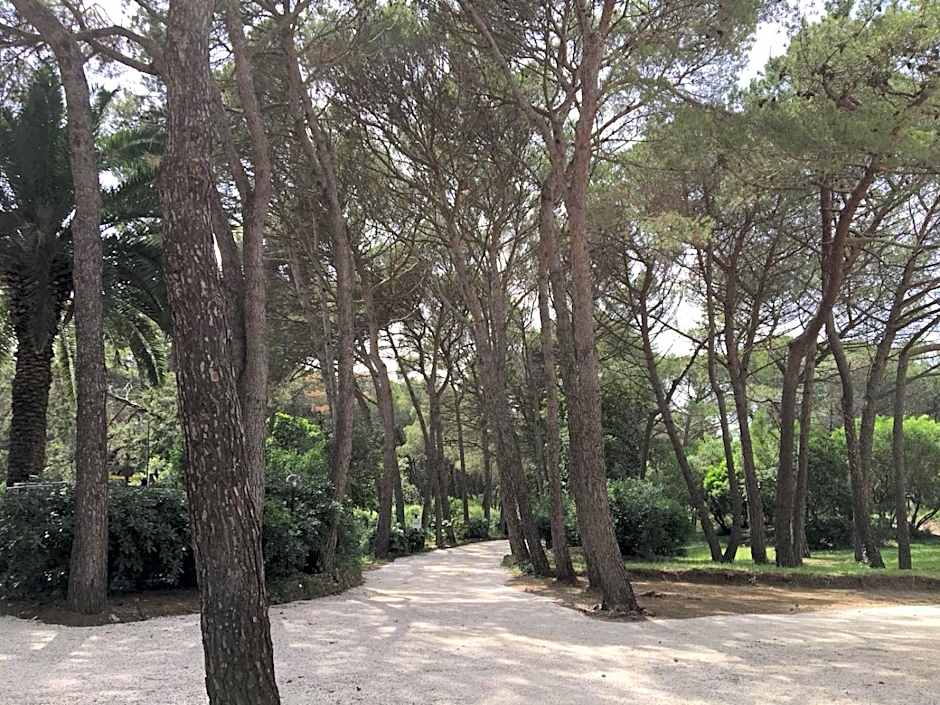 CSA Hotel Beach & Park