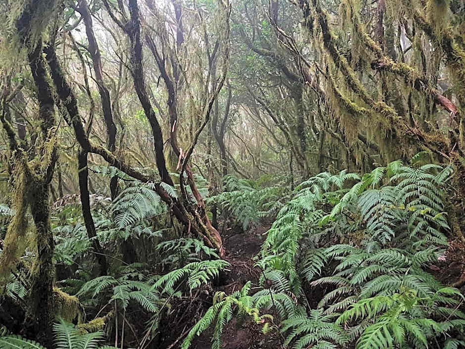 Los Amigos Nest Hostel