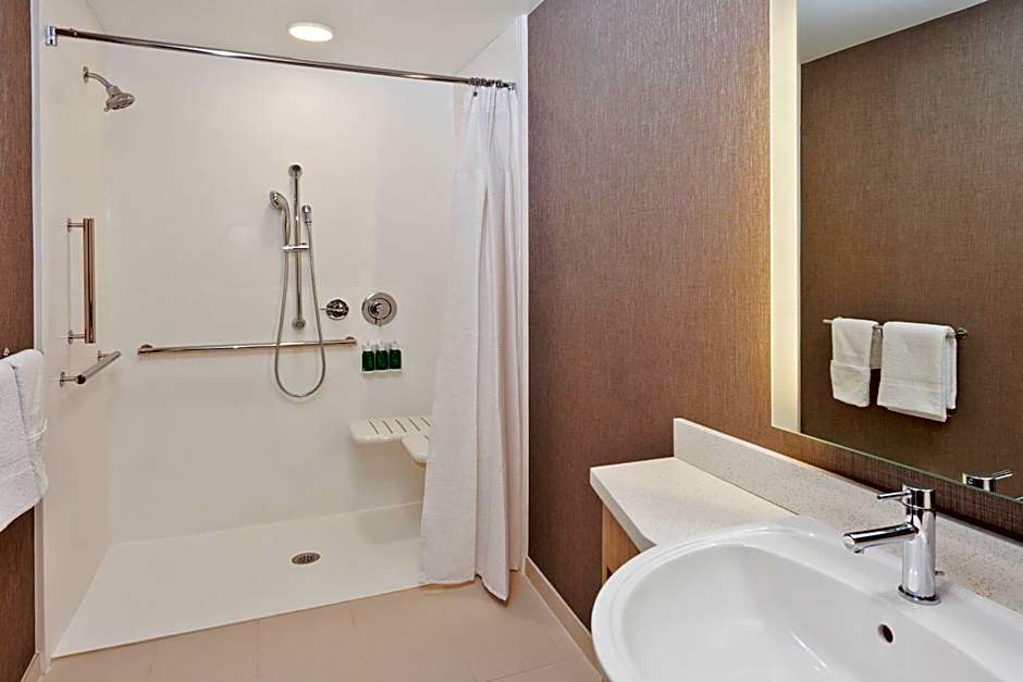 SpringHill Suites by Marriott Montgomery Prattville/Millbrook