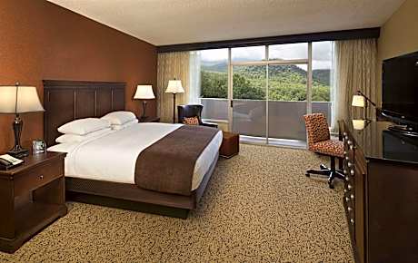 1 Kn Bed-Nosmok Mountain View Room W/Balcony