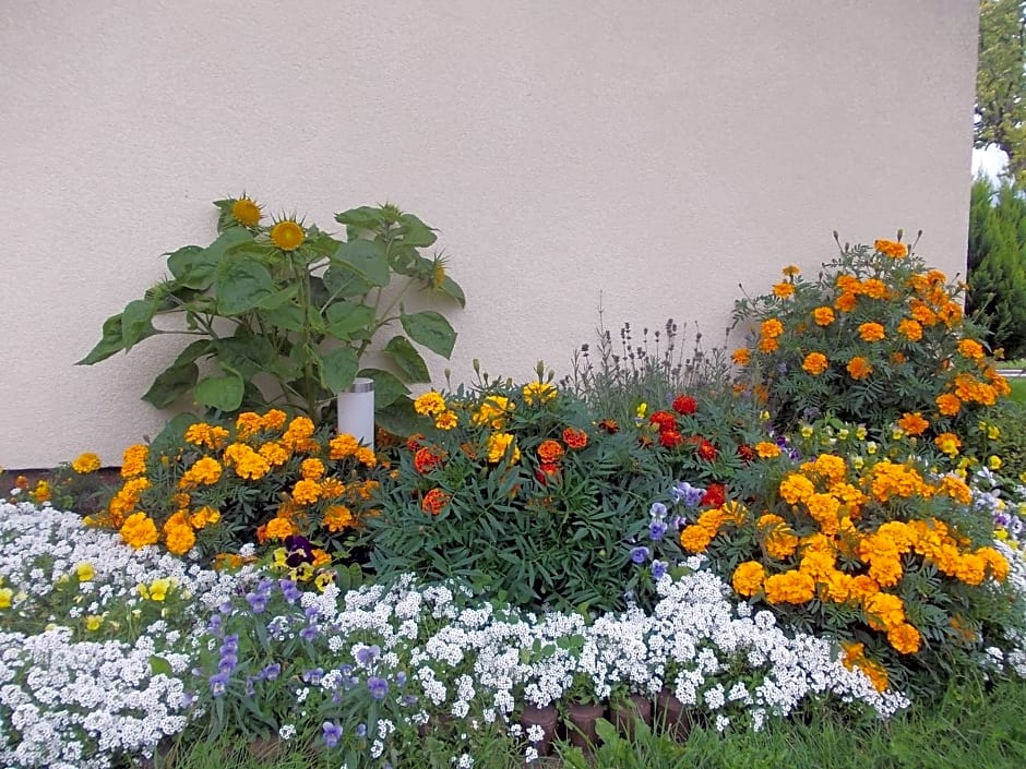 Domki letniskowe "DORCIA"