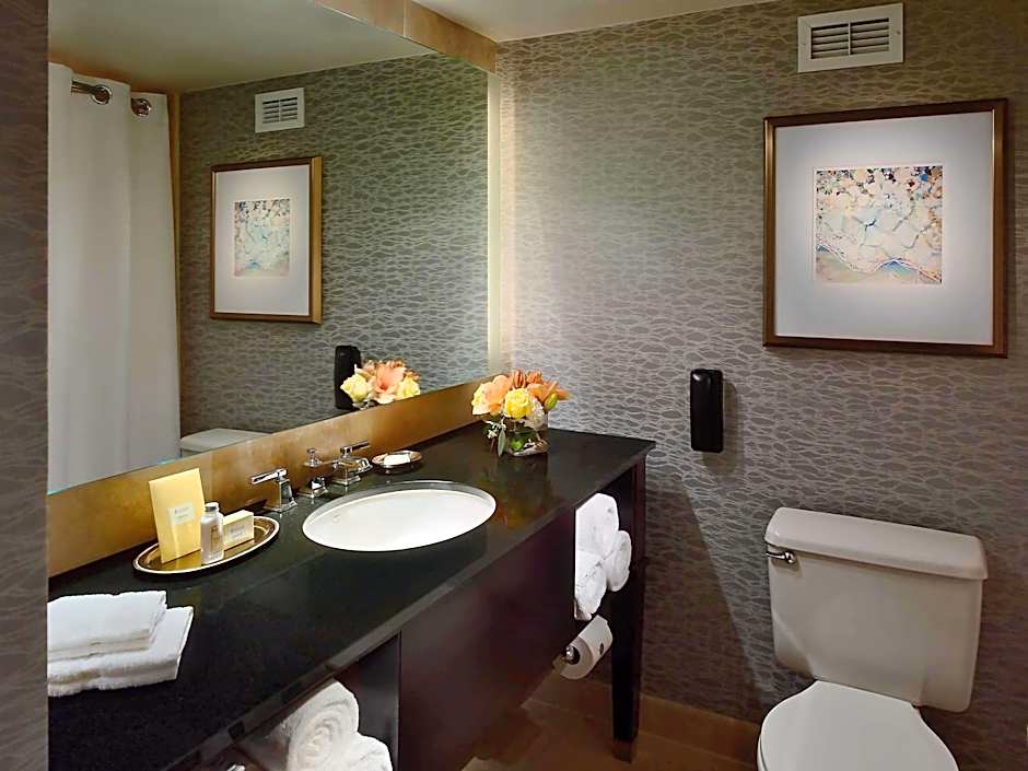 The Royal Sonesta Houston Galleria