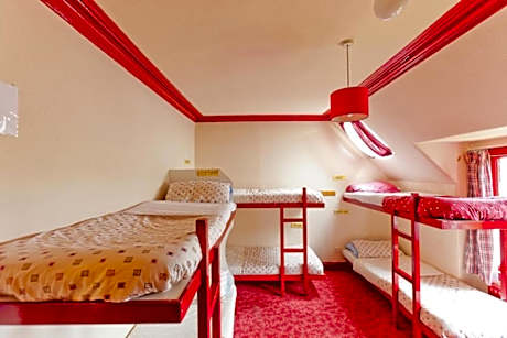 Bed in 8-Bed Mixed Dormitory Room