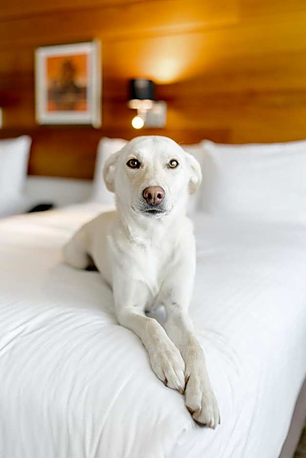 Hotels Gouverneur Sept-Iles