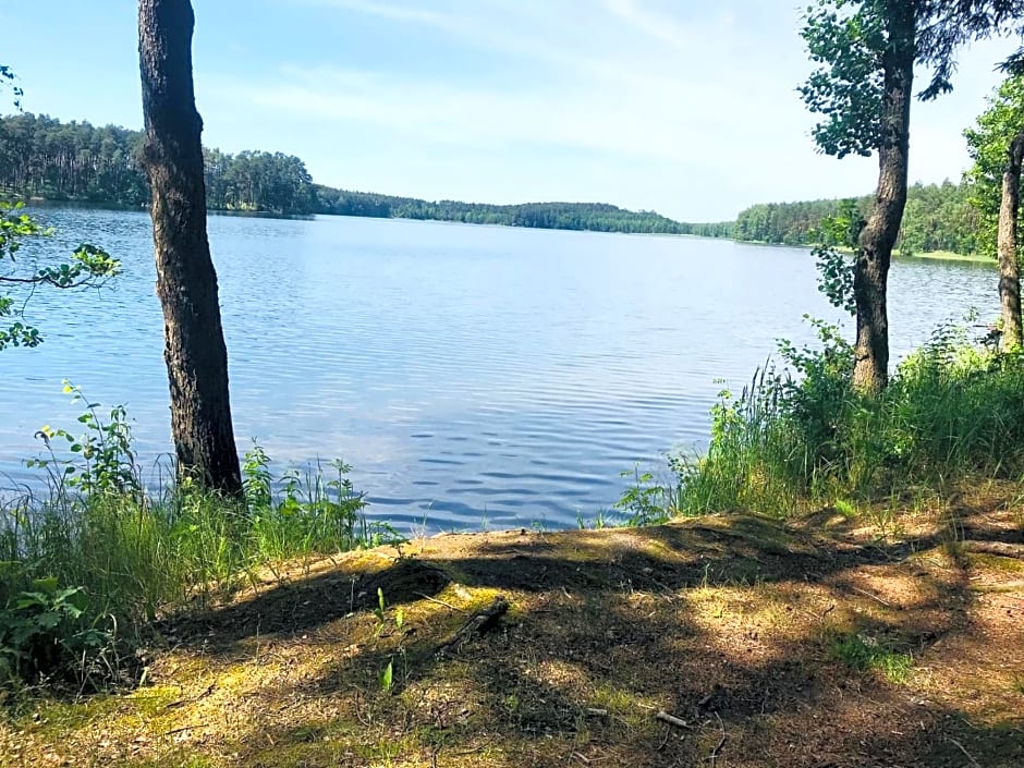 Samodzielny Dom Przy Lesie