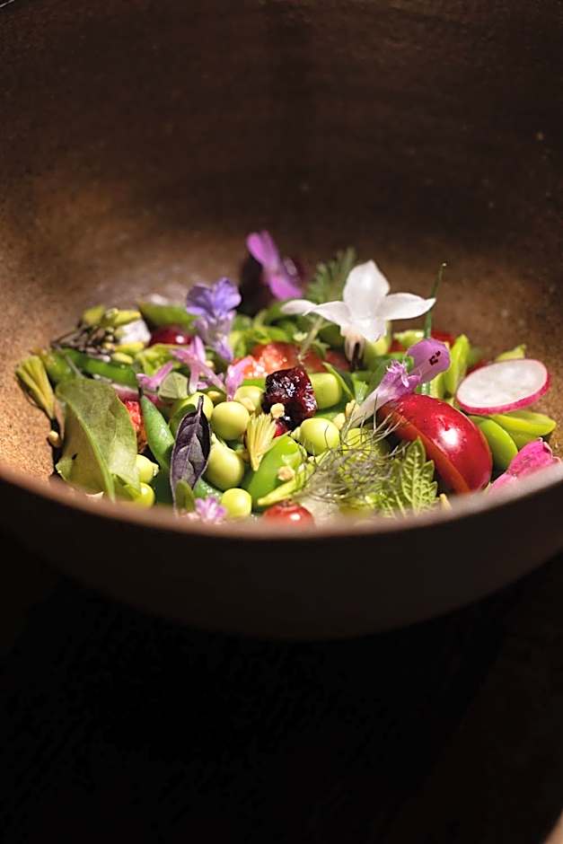 Auberge le Moulin de Léré Restaurant Frédéric Molina 1 étoile